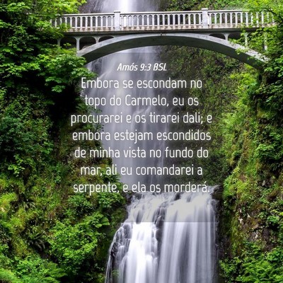 Picture 04 - Amós 9:3 BSL - Embora se escondam no topo do Carmelo, eu os - Bible Verse Picture