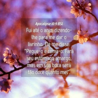 Picture 04 - Apocalipse 10:9 BSL - Fui até o anjo, dizendo-lhe para me dar o - Bible Verse Picture