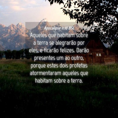 Picture 04 - Apocalipse 11:10 BSL - Aqueles que habitam sobre a terra se alegrarão - Bible Verse Picture