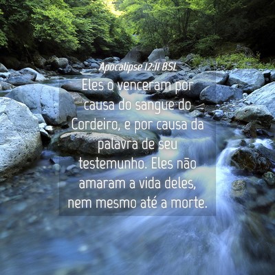 Picture 04 - Apocalipse 12:11 BSL - Eles o venceram por causa do sangue do Cordeiro, - Bible Verse Picture