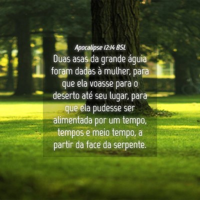 Picture 04 - Apocalipse 12:14 BSL - Duas asas da grande águia foram dadas à mulher, - Bible Verse Picture