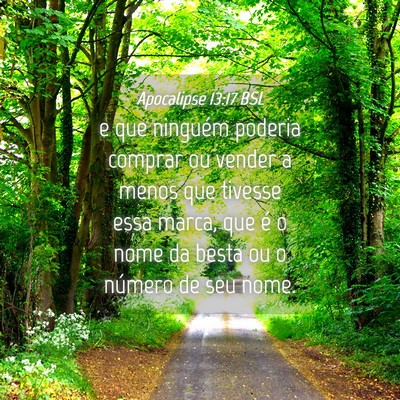 Picture 04 - Apocalipse 13:17 BSL - e que ninguém poderia comprar ou vender a menos - Bible Verse Picture