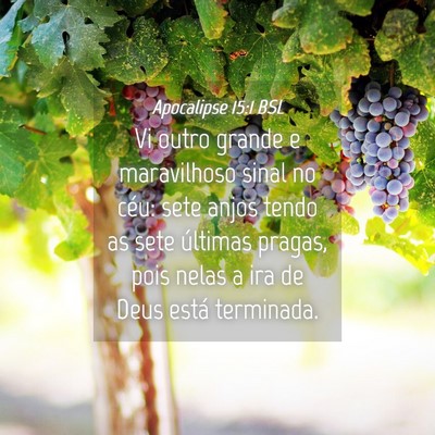 Picture 04 - Apocalipse 15:1 BSL - Vi outro grande e maravilhoso sinal no céu: sete - Bible Verse Picture