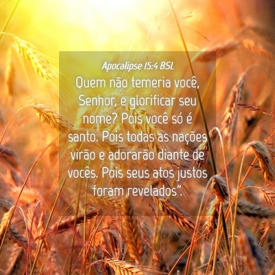 Picture 04 - Apocalipse 15:4 BSL - Quem não temeria você, Senhor, e glorificar seu - Bible Verse Picture