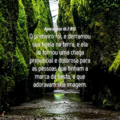 Picture 04 - Apocalipse 16:2 BSL - O primeiro foi, e derramou sua tigela na terra, e - Bible Verse Picture