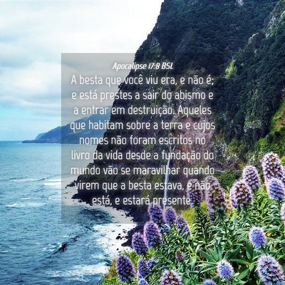 Picture 04 - Apocalipse 17:8 BSL - A besta que você viu era, e não é; e está - Bible Verse Picture