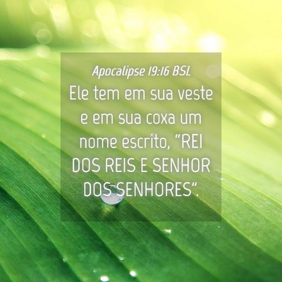 Picture 04 - Apocalipse 19:16 BSL - Ele tem em sua veste e em sua coxa um nome - Bible Verse Picture