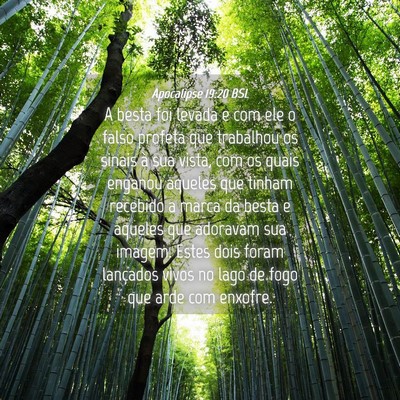 Picture 04 - Apocalipse 19:20 BSL - A besta foi levada e com ele o falso profeta que - Bible Verse Picture