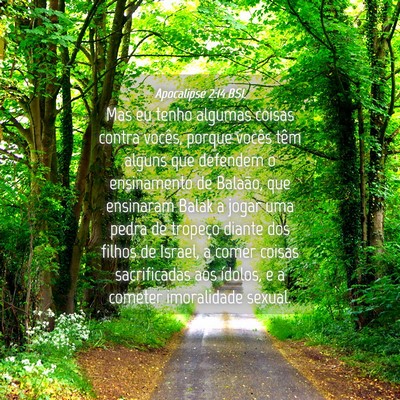 Picture 04 - Apocalipse 2:14 BSL - Mas eu tenho algumas coisas contra vocês, porque - Bible Verse Picture