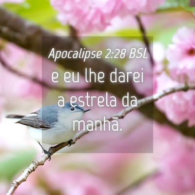 Picture 04 - Apocalipse 2:28 BSL - e eu lhe darei a estrela da - Bible Verse Picture