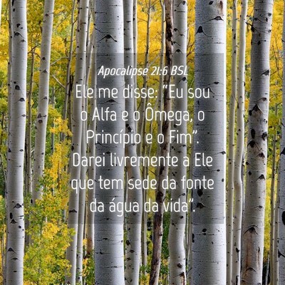 Picture 04 - Apocalipse 21:6 BSL - Ele me disse: “Eu sou o Alfa e o Ômega, o - Bible Verse Picture