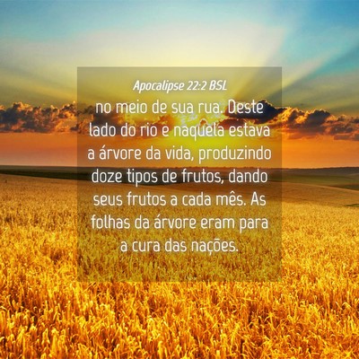 Picture 04 - Apocalipse 22:2 BSL - no meio de sua rua. Deste lado do rio e naquela - Bible Verse Picture