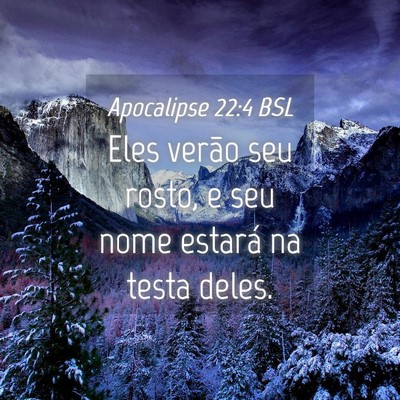Picture 04 - Apocalipse 22:4 BSL - Eles verão seu rosto, e seu nome estará na - Bible Verse Picture