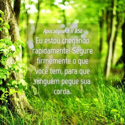 Picture 04 - Apocalipse 3:11 BSL - Eu estou chegando rapidamente! Segure firmemente - Bible Verse Picture