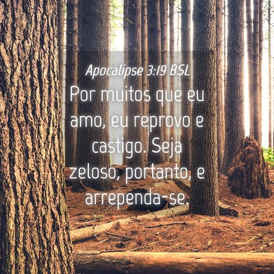 Picture 04 - Apocalipse 3:19 BSL - Por muitos que eu amo, eu reprovo e castigo. Seja - Bible Verse Picture