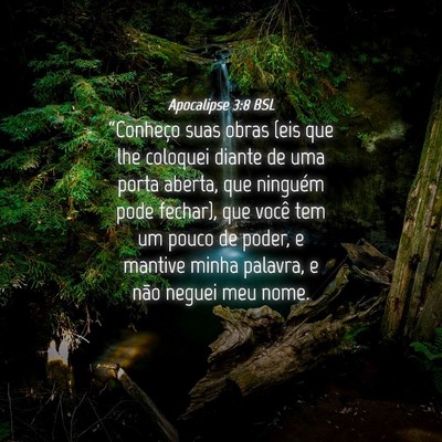 Picture 04 - Apocalipse 3:8 BSL - “Conheço suas obras (eis que lhe coloquei - Bible Verse Picture