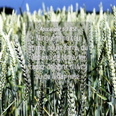 Picture 04 - Apocalipse 5:3 BSL - Ninguém no céu acima, ou na terra, ou debaixo - Bible Verse Picture