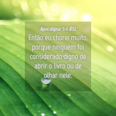 Picture 04 - Apocalipse 5:4 BSL - Então eu chorei muito, porque ninguém foi - Bible Verse Picture