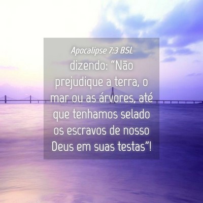 Picture 04 - Apocalipse 7:3 BSL - dizendo: “Não prejudique a terra, o mar ou as - Bible Verse Picture