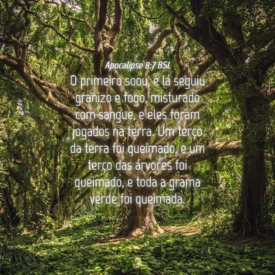 Picture 04 - Apocalipse 8:7 BSL - O primeiro soou, e lá seguiu granizo e fogo, - Bible Verse Picture