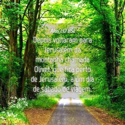 Picture 04 - Atos 1:12 BSL - Depois voltaram para Jerusalém da montanha - Bible Verse Picture