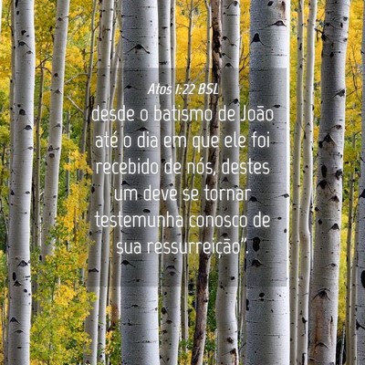 Picture 04 - Atos 1:22 BSL - desde o batismo de João até o dia em que ele - Bible Verse Picture