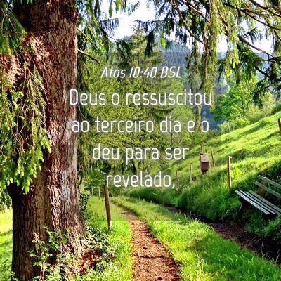 Picture 04 - Atos 10:40 BSL - Deus o ressuscitou ao terceiro dia e o deu para - Bible Verse Picture
