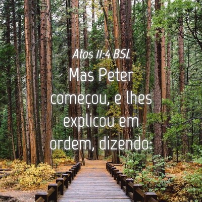 Picture 04 - Atos 11:4 BSL - Mas Peter começou, e lhes explicou em ordem, - Bible Verse Picture