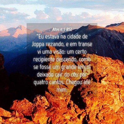 Picture 04 - Atos 11:5 BSL - “Eu estava na cidade de Joppa rezando, e em - Bible Verse Picture