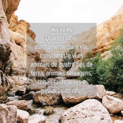 Picture 04 - Atos 11:6 BSL - Quando olhei atentamente para ele, considerei, e - Bible Verse Picture