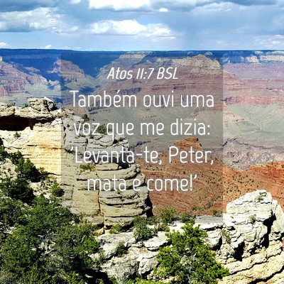 Picture 04 - Atos 11:7 BSL - Também ouvi uma voz que me dizia: 'Levanta-te, - Bible Verse Picture