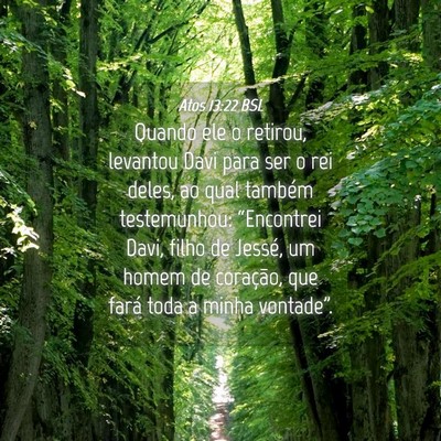Picture 04 - Atos 13:22 BSL - Quando ele o retirou, levantou Davi para ser o - Bible Verse Picture