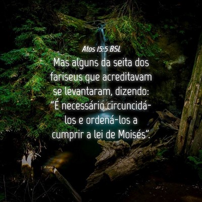 Picture 04 - Atos 15:5 BSL - Mas alguns da seita dos fariseus que acreditavam - Bible Verse Picture