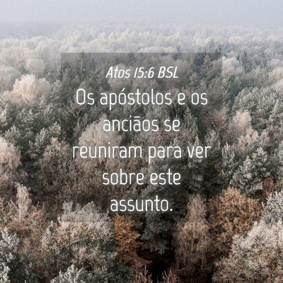 Picture 04 - Atos 15:6 BSL - Os apóstolos e os anciãos se reuniram para ver - Bible Verse Picture