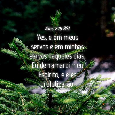 Picture 04 - Atos 2:18 BSL - Yes, e em meus servos e em minhas servas naqueles - Bible Verse Picture