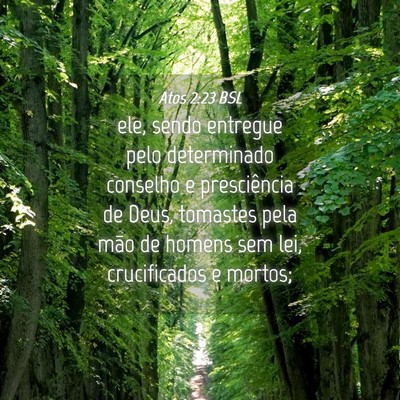Picture 04 - Atos 2:23 BSL - ele, sendo entregue pelo determinado conselho e - Bible Verse Picture