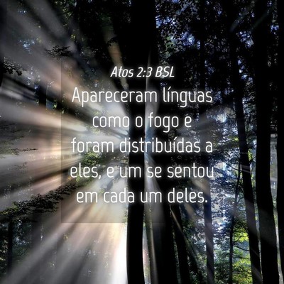 Picture 04 - Atos 2:3 BSL - Apareceram línguas como o fogo e foram - Bible Verse Picture