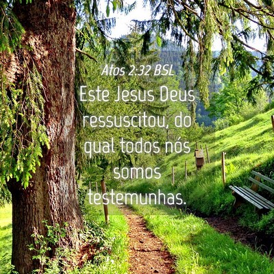 Picture 04 - Atos 2:32 BSL - Este Jesus Deus ressuscitou, do qual todos nós - Bible Verse Picture