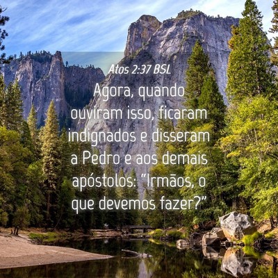 Picture 04 - Atos 2:37 BSL - Agora, quando ouviram isso, ficaram indignados e - Bible Verse Picture