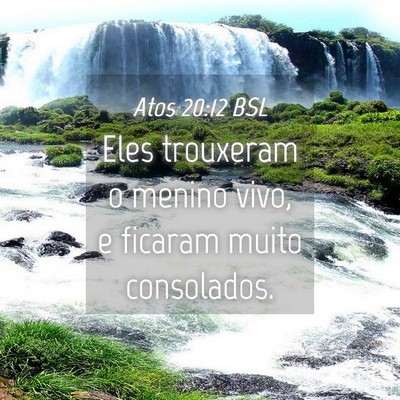 Picture 04 - Atos 20:12 BSL - Eles trouxeram o menino vivo, e ficaram muito - Bible Verse Picture