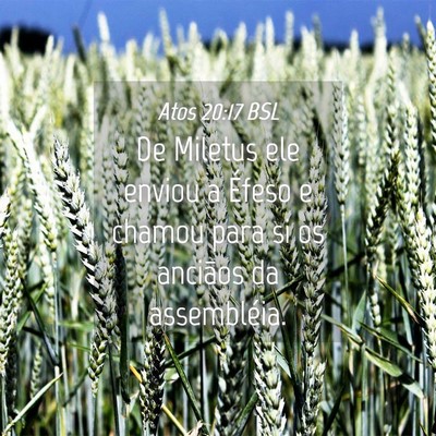 Picture 04 - Atos 20:17 BSL - De Miletus ele enviou a Éfeso e chamou para si - Bible Verse Picture