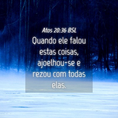 Picture 04 - Atos 20:36 BSL - Quando ele falou estas coisas, ajoelhou-se e - Bible Verse Picture