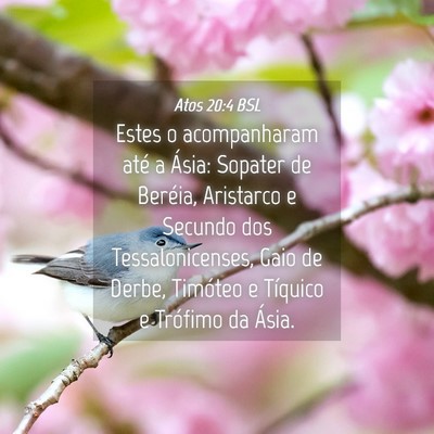Picture 04 - Atos 20:4 BSL - Estes o acompanharam até a Ásia: Sopater de - Bible Verse Picture