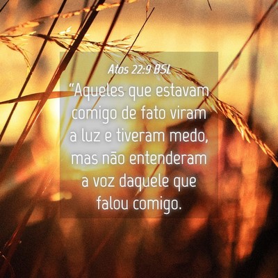 Picture 04 - Atos 22:9 BSL - “Aqueles que estavam comigo de fato viram a luz - Bible Verse Picture