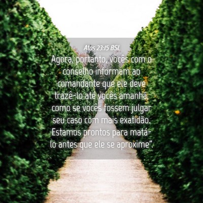 Picture 04 - Atos 23:15 BSL - Agora, portanto, vocês com o conselho informam - Bible Verse Picture