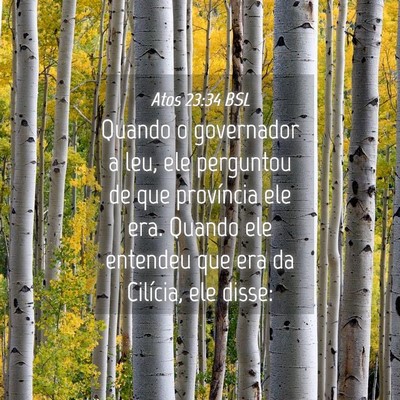 Picture 04 - Atos 23:34 BSL - Quando o governador a leu, ele perguntou de que - Bible Verse Picture