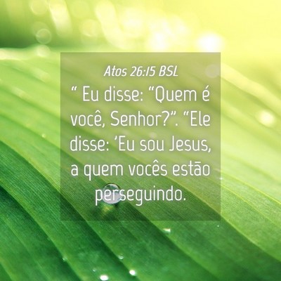 Picture 04 - Atos 26:15 BSL - “ Eu disse: “Quem é você, Senhor?”. - Bible Verse Picture