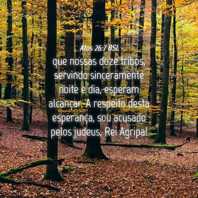 Picture 04 - Atos 26:7 BSL - que nossas doze tribos, servindo sinceramente - Bible Verse Picture