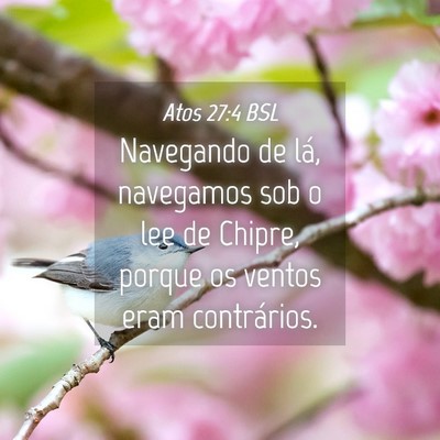 Picture 04 - Atos 27:4 BSL - Navegando de lá, navegamos sob o lee de Chipre, - Bible Verse Picture