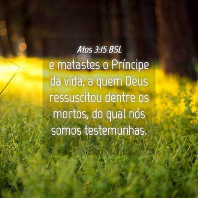 Picture 04 - Atos 3:15 BSL - e matastes o Príncipe da vida, a quem Deus - Bible Verse Picture